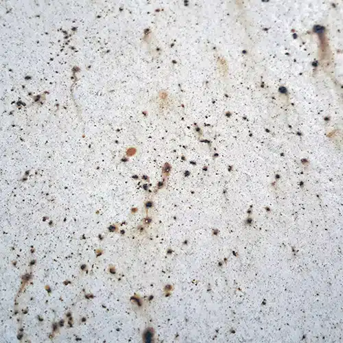 Pontos de ferrugem sob revestimento industrial.